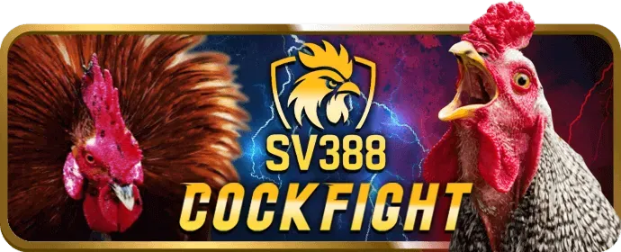 Truy cập trang chủ KO66 Code